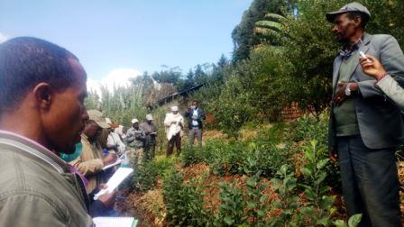 Highland fruit experience sharing and management training in Kacha-bira, Kembata zone