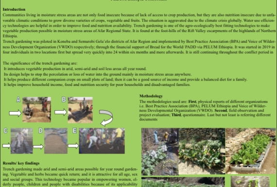 Abstract on Trench Garden accepted as poster presentation in the East Africa Agro-ecology Conference